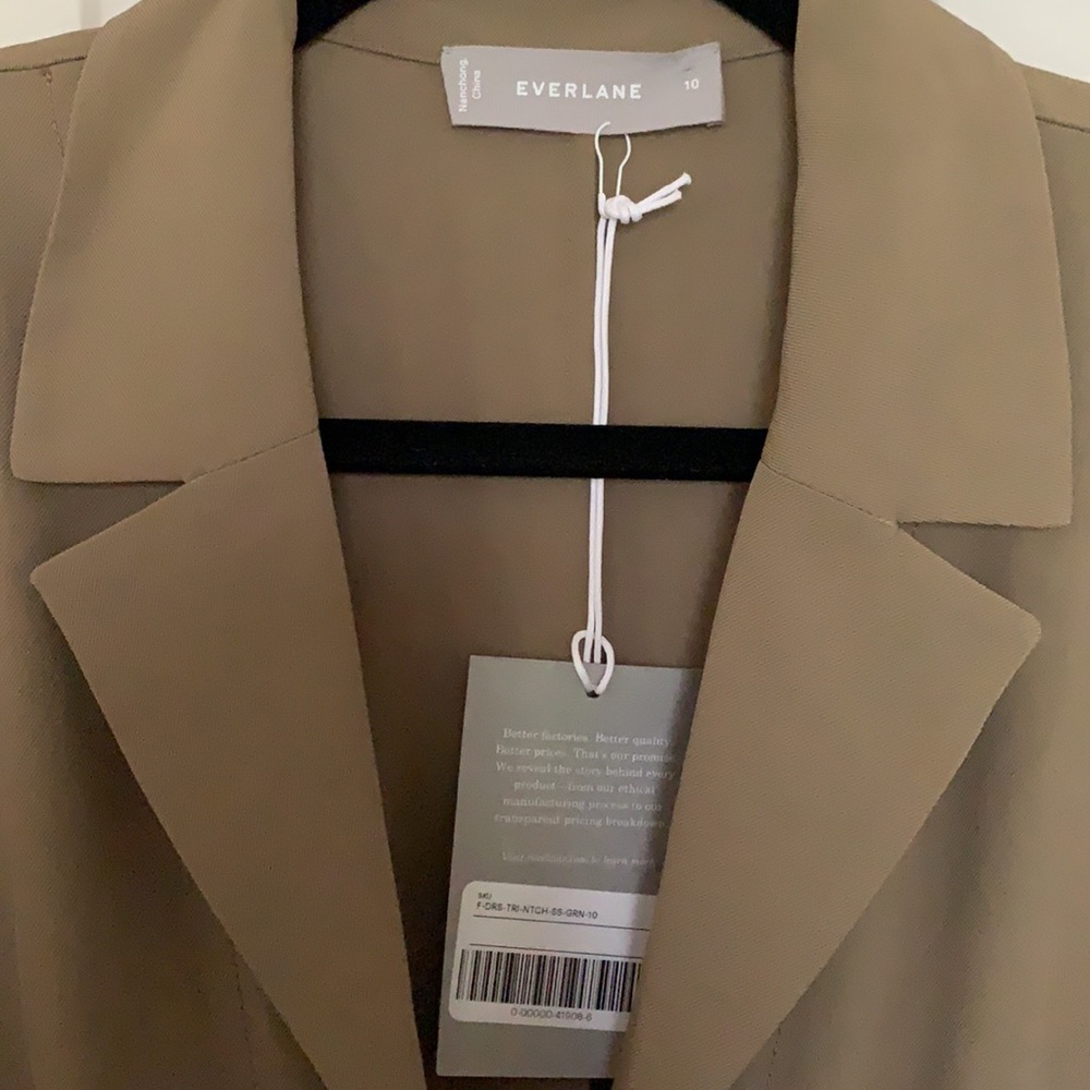Everlane Japanese GoWeave Shirtdress